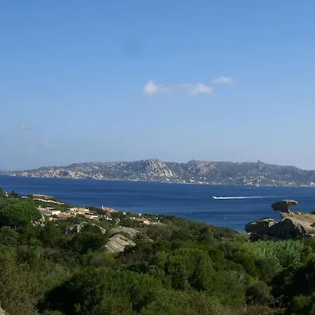 Lu Nibaru By Budoniaffitti