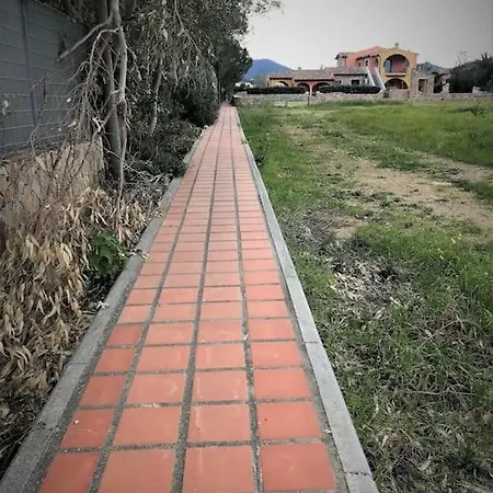 Lu Nibaru By Budoniaffitti