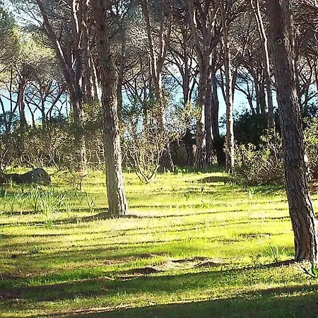 Lu Nibaru By Budoniaffitti Будони