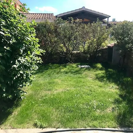 Lu Nibaru By Budoniaffitti *